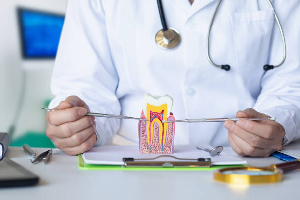 Best Emergency Dental Care for Sports Injuries in Cottonwood, AZ